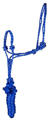 Rope Halter with Lead