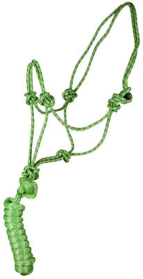 Rope Halter with Lead