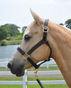 Berlin 1-1/8&quot; Amish Handmade Leather Halter