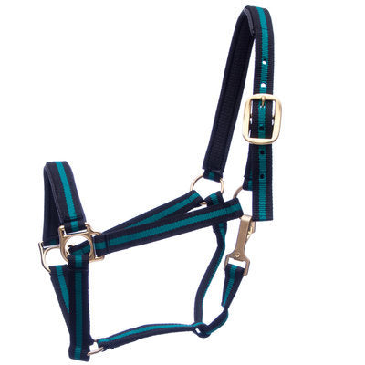 Jeffers Padded Halter with Snap