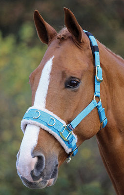 Fleece Lined Lunge Cavesson, Full Size