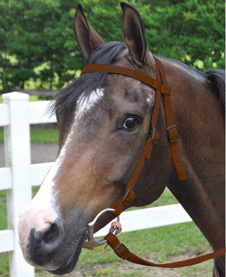 Nylon Bridle w/ Split Reins