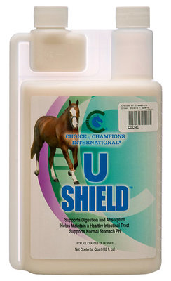 U Shield by Choice of Champions International