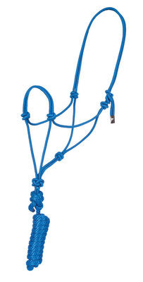 Rope Halter with Lead