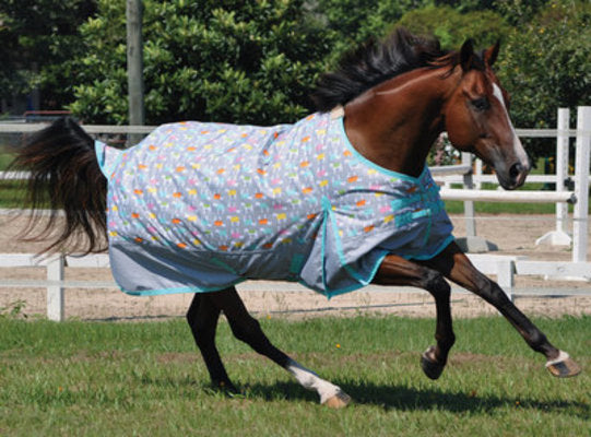 Jeffers 600D &amp;quot;Blankies&amp;quot; Expression Turnout Sheet