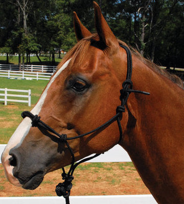 Knotted Training Halter