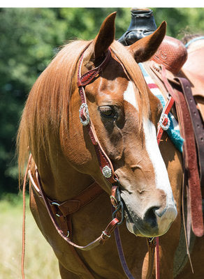 Filigree Tack Collection