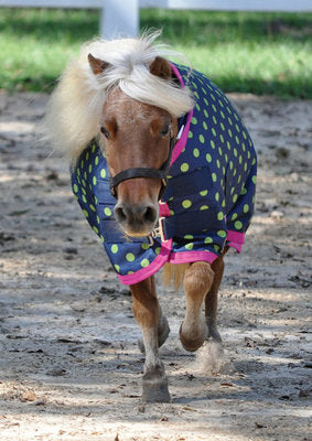 Jeffers 600D Polka Dot Miniature Horse Blanket 240g, Lime Green 