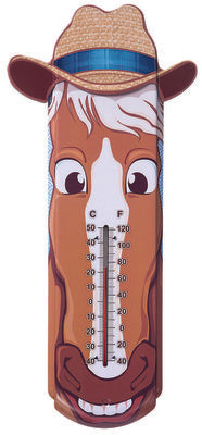 Decorative Tin Thermometer