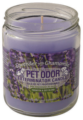 Pet Odor Exterminator Candle, Lavender with Chamomile