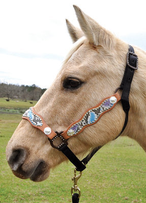 San Saba Tropical Python Scalloped Halter, Full